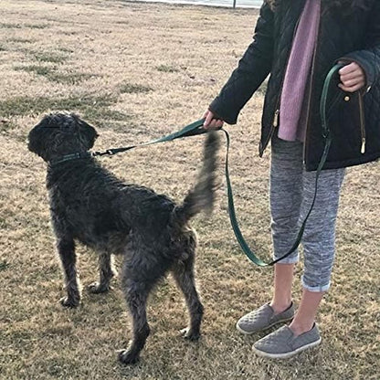 Wagtime Club Double Handle Dog Leash, 6Ft Long Heavy Duty Dog Leash with Paded Traffic Handles for Extral Control and Training, Dual Handles Leads, Large Medium Small Dogs (Hunter Green) - FurrrBabies & More! - 313109442412