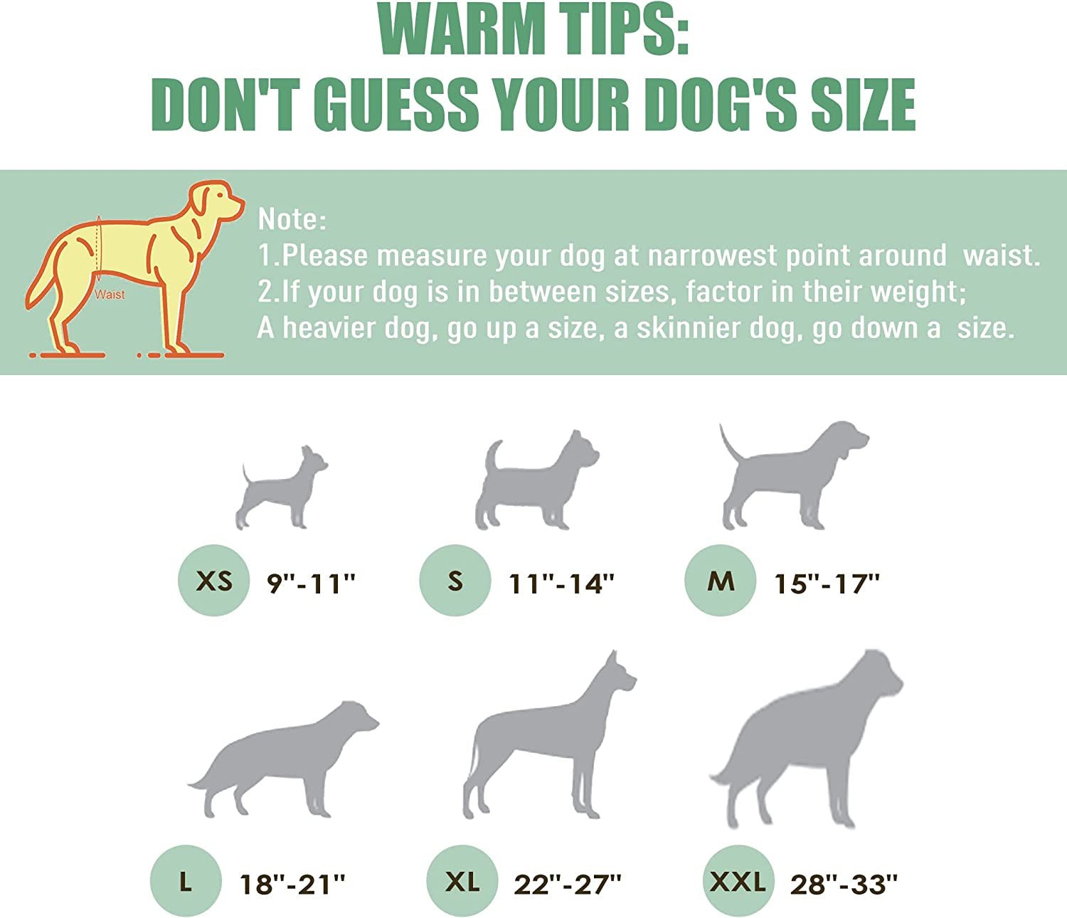 Washable Male Dog Diapers (Pack of 3) - Washable Male Dog Belly Wrap (Vast Sky, XS) - FurrrBabies & More! - 7445009837876