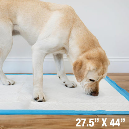 Wee - Wee Superior Performance Pee Pads for Dogs with Runoff Barrier Edge Guard Protection, Puppy & Dog Potty Training Pads, Housebreaking Supplies, 27.5" X 44" (18 Count) - FurrrBabies & More! - 7445001439474