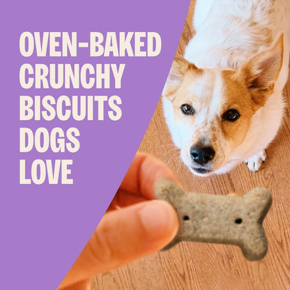 Wellness Classic Original Mix Dog Biscuits, Natural Training Treats, 4 Flavors, Small Size, 6 Lb Bag - FurrrBabies & More! - 7445006260226