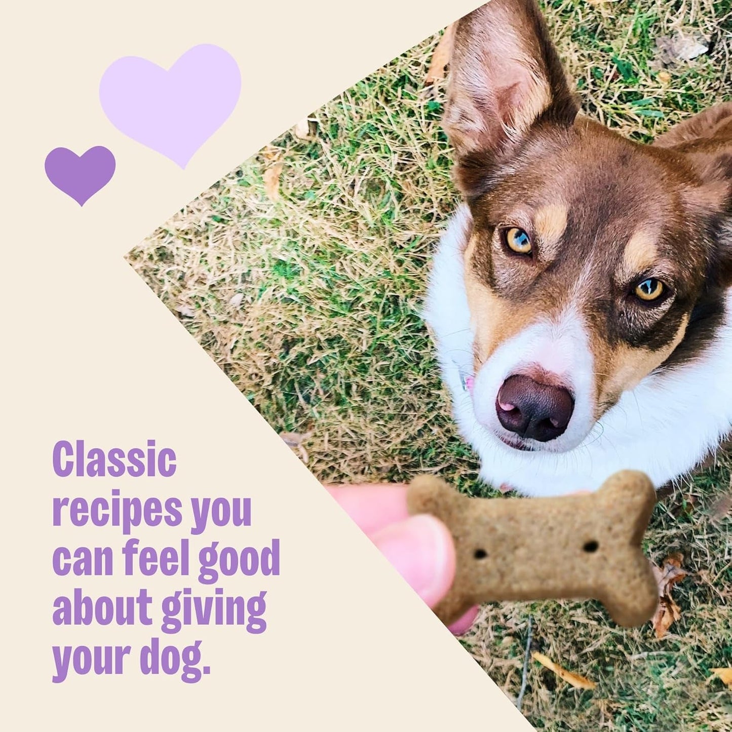 Wellness Classic Original Mix Dog Biscuits, Natural Training Treats, 4 Flavors, Small Size, 6 Lb Bag - FurrrBabies & More! - 7445006260226