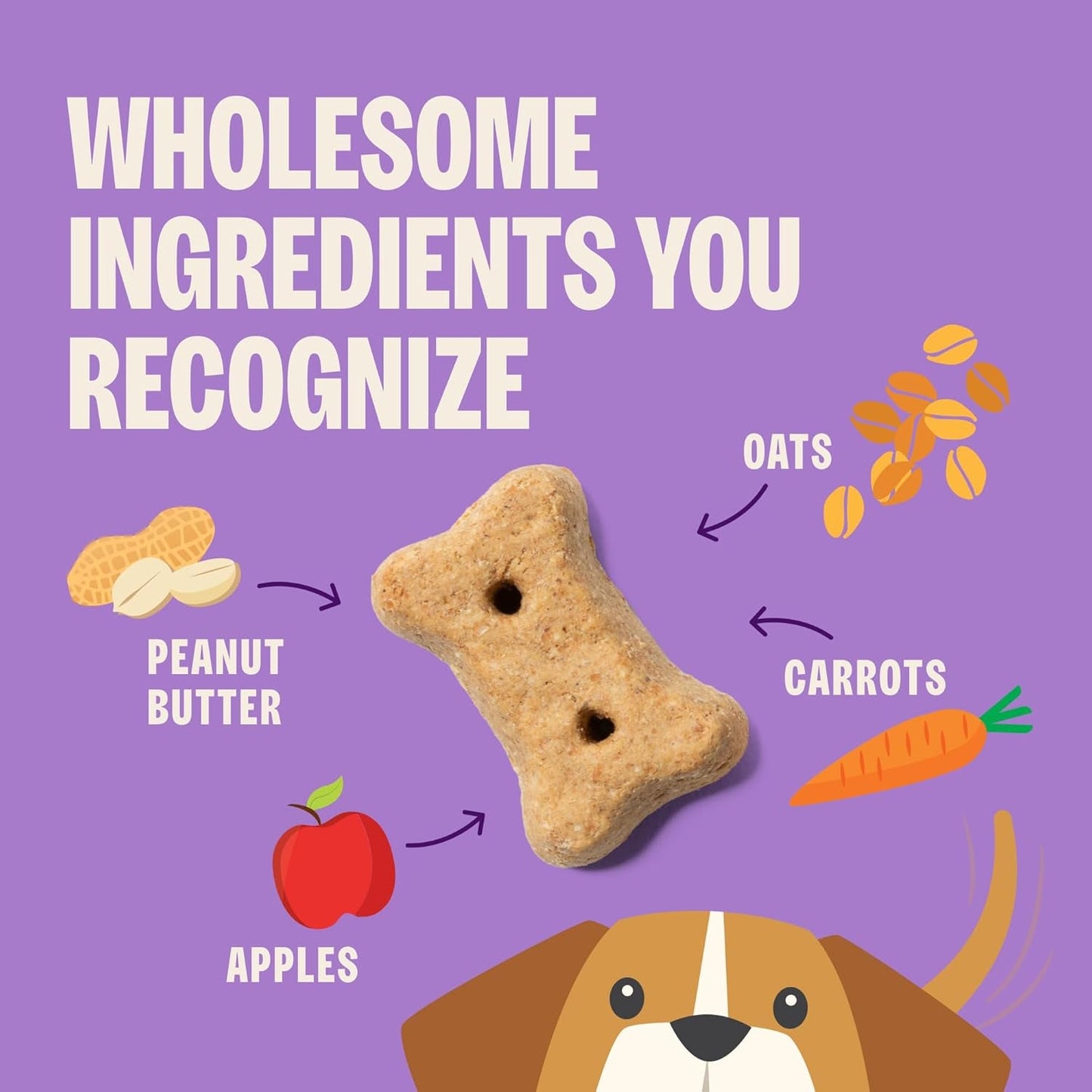 Wellness Classic P - Nuttier Dog Biscuits, Natural Training Treats, Peanut Butter Flavor, Large Size, 6 Lb Box - FurrrBabies & More! - 7445055338341