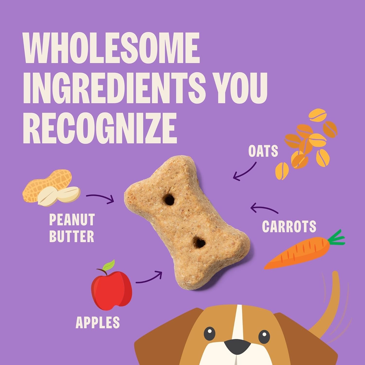 Wellness Classic P - Nuttier Dog Biscuits, Natural Training Treats, Peanut Butter Flavor, Large Size, 6 Lb Box - FurrrBabies & More! - 7445055338341