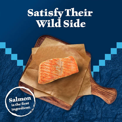 Wilderness High Protein Crunchy Cat Treats, Made with Natural Ingredients, Tasty Salmon Flavor, 2 - Oz Bag (Pack of 12) - FurrrBabies & More! - 744110711424