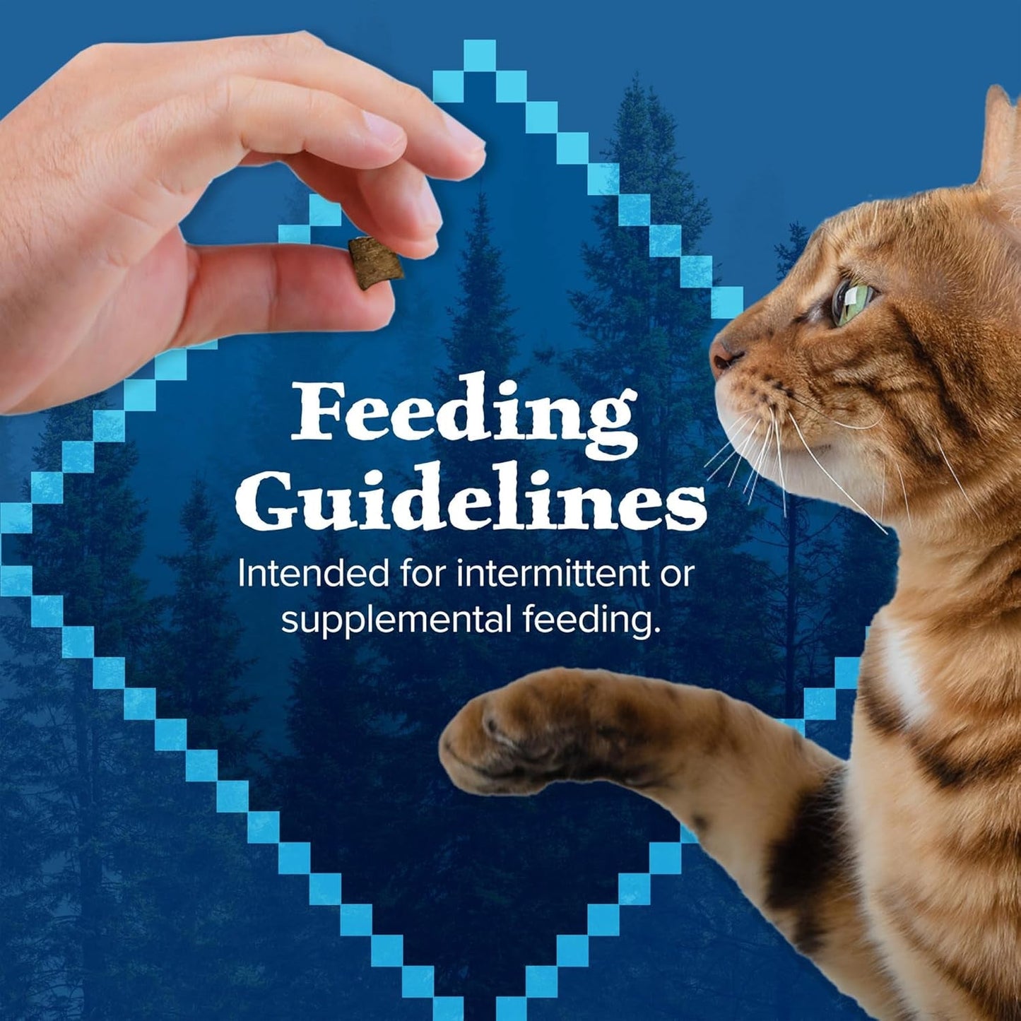 Wilderness High Protein Crunchy Cat Treats, Made with Natural Ingredients, Tasty Salmon Flavor, 2 - Oz Bag (Pack of 12) - FurrrBabies & More! - 744110711424