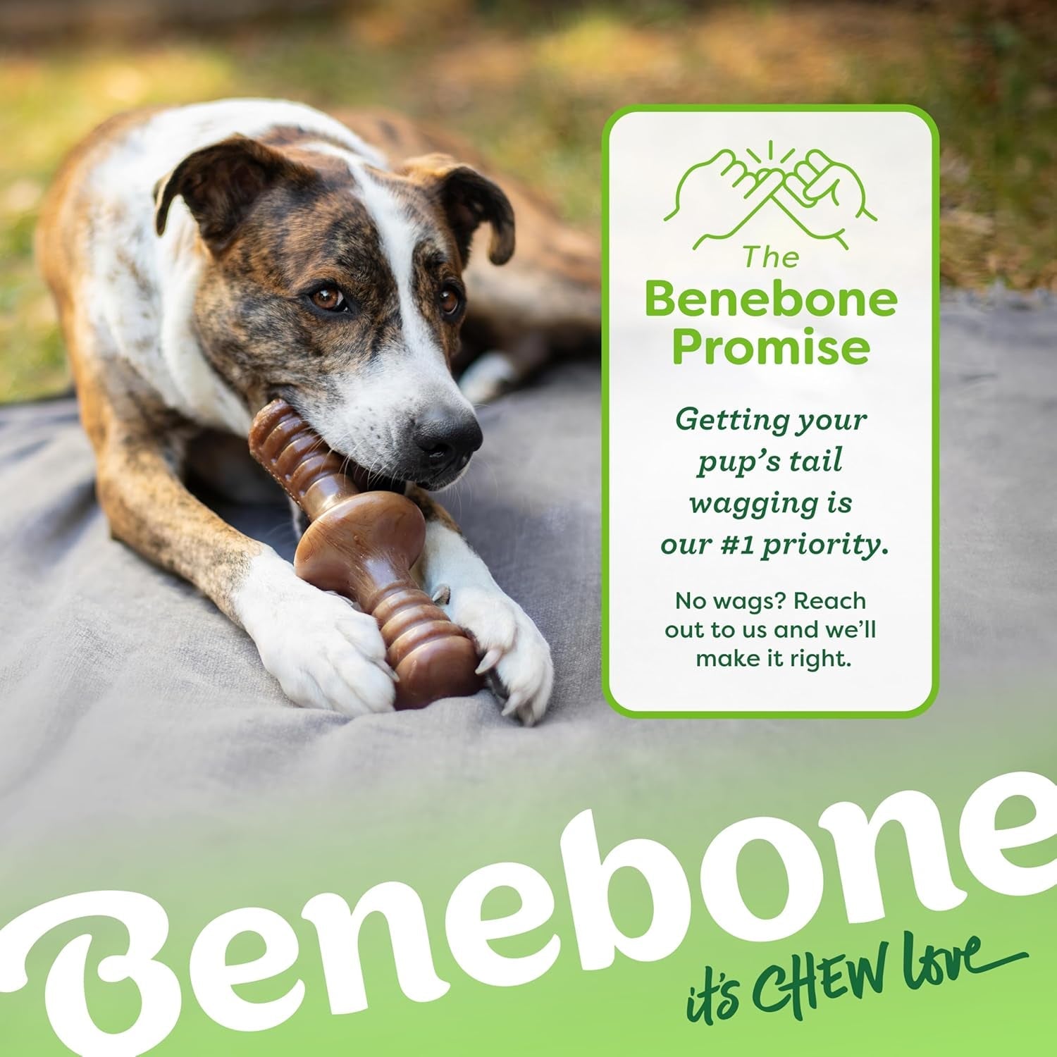 Zaggler Rolling Dog Chew Toy for Aggressive Chewers, Real Peanut, Made in USA, Small - FurrrBabies & More! - 705353422072